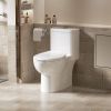 One Piece Toilet with Comfort Chair Seat ADA Height 17", Powerful Dual Flush Modern Toilet, 1.1/1.6 GPF, 12" Rough-In