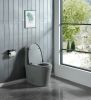 1.1/1.60 GPF Dual-Flush One Piece Toilet, Water-Saving Elongated Comfort Height Floor Mounted, Soft Close 1000 Gram Map Flushing Score Toilet