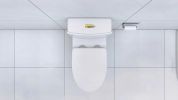 Elongated One Piece Toilet White