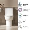 One Piece Toilet with Comfort Chair Seat ADA Height 17", Powerful Dual Flush Modern Toilet, 1.1/1.6 GPF, 12" Rough-In